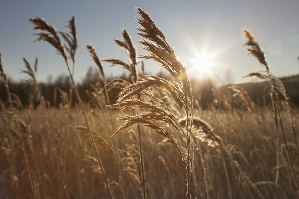 Où peut-on séjourner en Australie pour des vacances avec des plongées sur la Grande Barrière de corail et des cours de biologie marine?